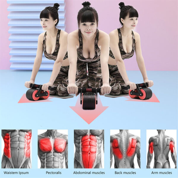 Premium ABS Power Roller for Abdominal Muscle Training by Icon Rover - Image 6